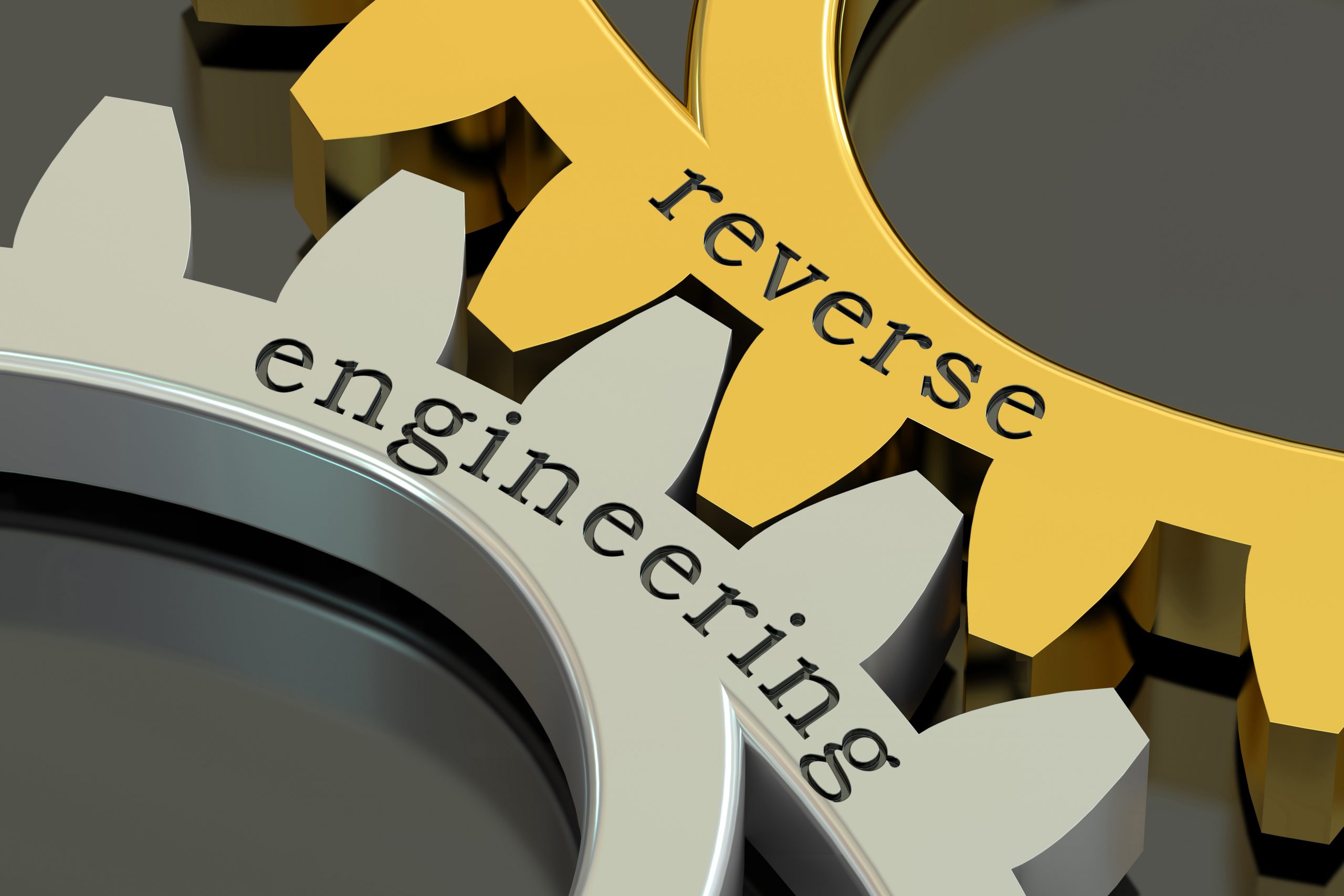 How to remain protected from the problem of Reverse engineering?